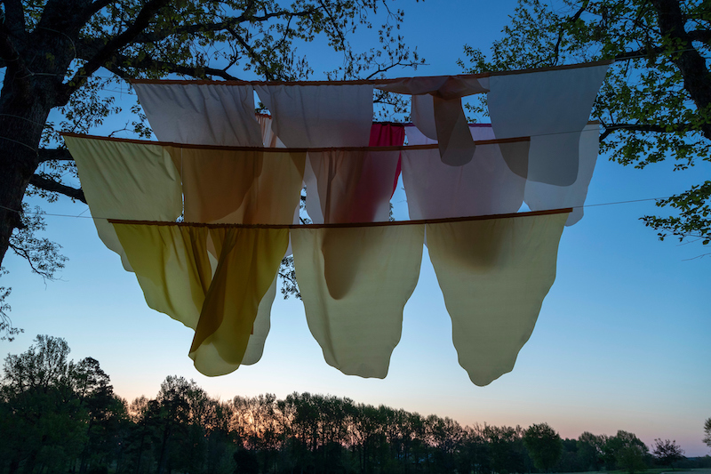 Installation at the Winthrop Rockefeller Institute, Morrilton Arkansas, 2018-2019