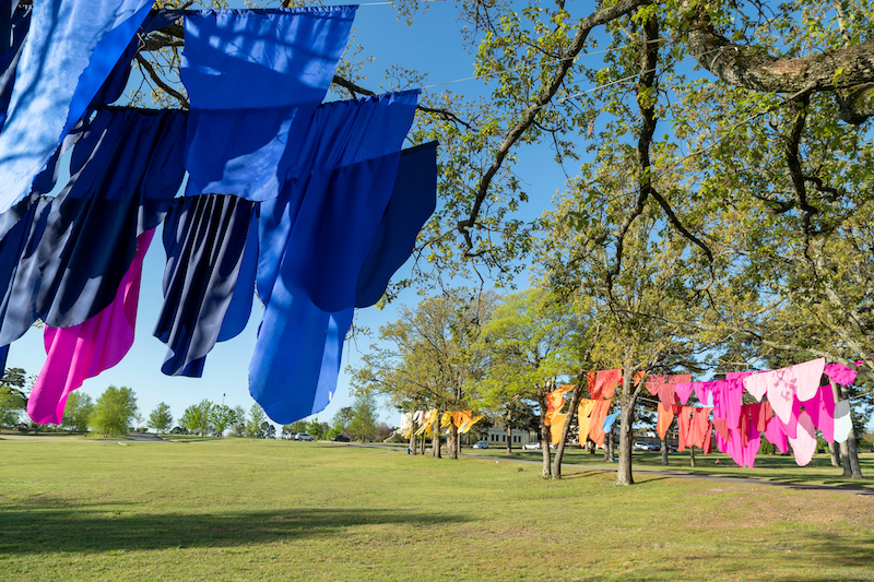 Installation at the Winthrop Rockefeller Institute, Morrilton Arkansas, 2018-2019